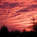 Tak se hlásil Silvestr