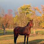 No nejsem modelka ? A nebo model #@!?