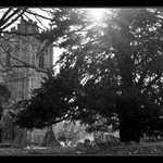 Anglický venkovský hřbitov v okolí Dorchesteru