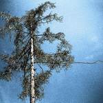 Zachování vesmírné rovnováhy aneb...