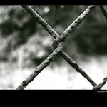 Trošku starší foto