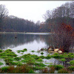 Zelená je tráva...