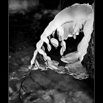 <b>Tvář zimy II</b>