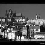 Pražská