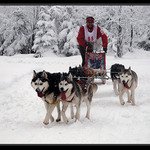 <b>Ztracený závod</b>