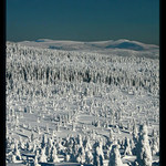 <b>Vteřina v lednu</b>