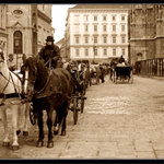 Kočí II