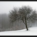 Solitér