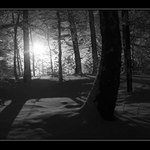 Když přichází Nový rok..