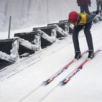 Skokan (ale né ta žába:)