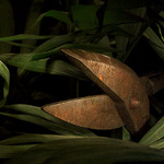 Jurský park (trochu jinak)