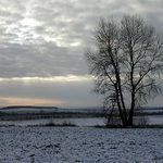 Příslib slunečného počasí