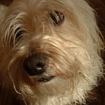 ...Pojd se mnou veeeeeeeeeeeeeeeeeen...