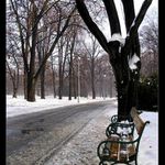 ..opuštěné lavičky..