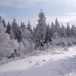 Beskydské zimní CvakDoLesa