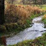 vzpominka na podzimni vychazku