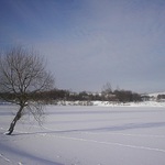 Na okraji zamrznutého rybníka