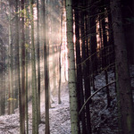 Stmívá se nebo rozednívá?