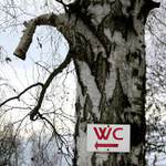 <b>WC asi jen pro pány</b>