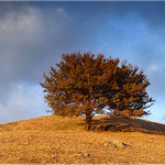 Planeta Malého prince