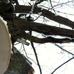 zimný výkuk do oblohy