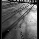 Stín a stopy na Lužnici