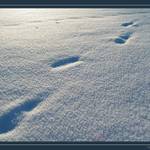 ...a on svou cestou šel...