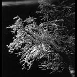 V jiném světle ...