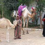 Beduinky - Egypt