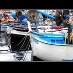 In porto a Rapallo