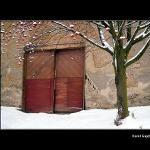 <b>Almara plná jeřabin</b>