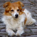 večerní pohoda v Cordes