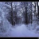 Cesta ze SNĚHOVOU královnou ...