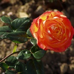 ... pro moje Slunicko