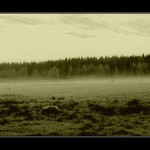 Podvečer na Šumave