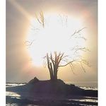 slunce je jedinečné....