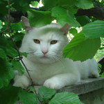 a ted s cumackem :o)