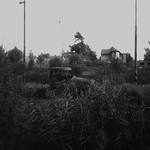 Auticko,vrak v trave.