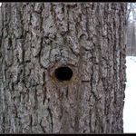 Pro osamělé turisty