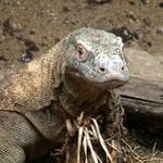 Dobře vás vidím, mě neutečete !!!!