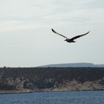 Kruci, už jsem tam měl být...