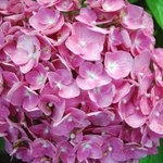 Ani nevím jak se to jmenuje.