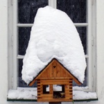 Boudo, budko, kdo v tobě přebývá ???