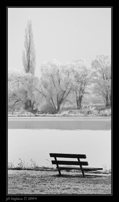 U zamrzlého Labe II.