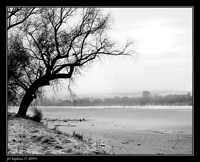 U zamrzlého Labe III.