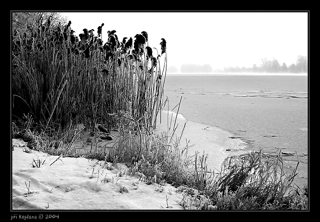 U zamrzlého Labe IV.