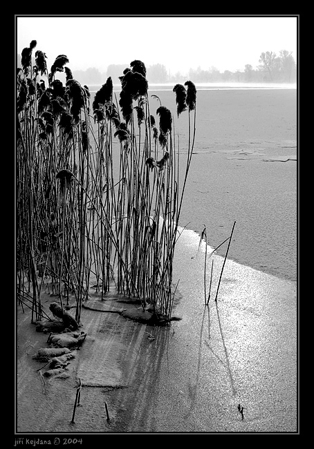 U zamrzlého Labe VI.