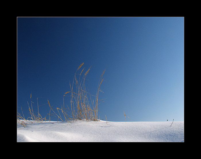 .:winter minimals I.::.