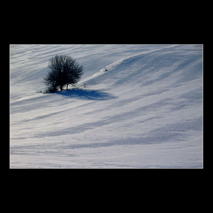 .:winter minimals II.::.