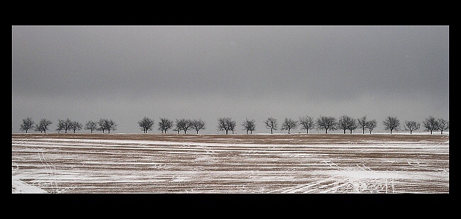 .: horizont :.